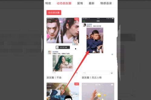 朋友圈封面视频,一瞬间的美好，永恒的回忆