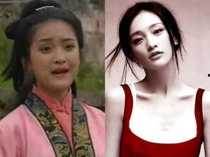 肥婆视频,揭秘肥胖背后的真相与解决方案