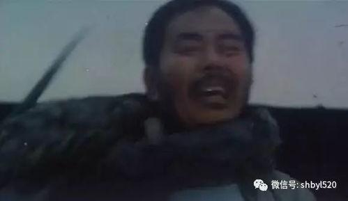 真蛇视频,视频中的惊悚瞬间与生存智慧