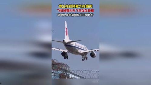 飞机落地视频,飞机落地精彩瞬间回顾