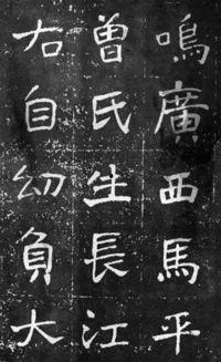 魏碑视频,探寻古代书法艺术的瑰宝