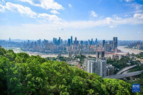 重庆风景视频,山城风光一瞥