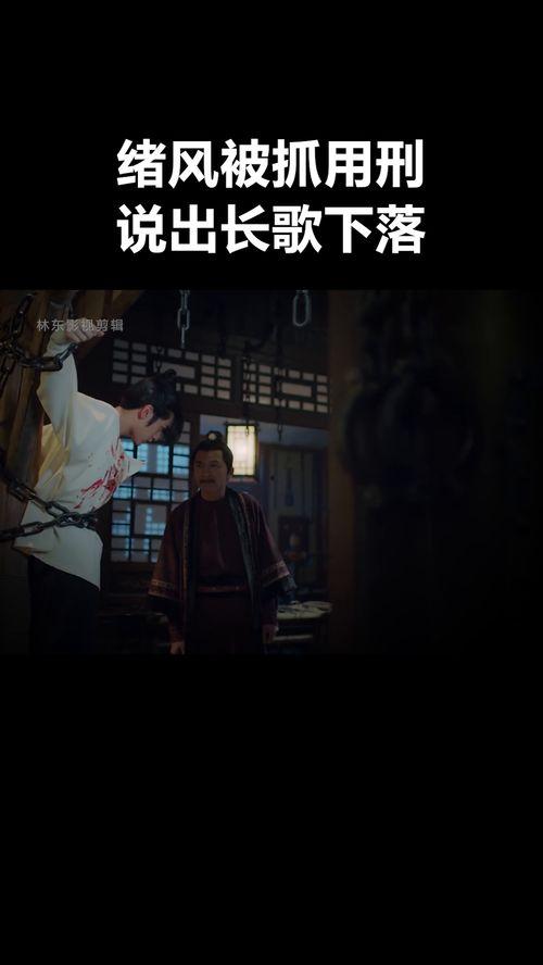 用刑视频,用刑视频背后的真相与挑战