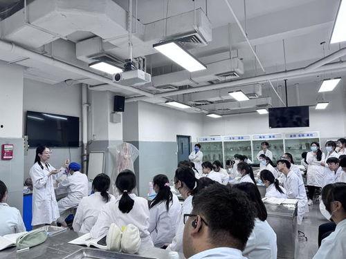 医学教学视频,理论与实践相结合的医学教育探索