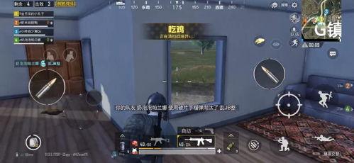 吃鸡视频直播,惊险刺激的吃鸡之旅全程回顾