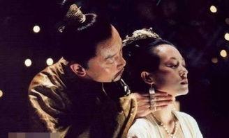 夜宴视频,宫廷权谋与爱恨交织的华丽盛宴