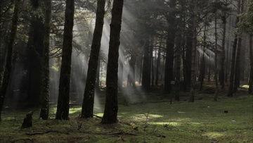 清晨视频,清晨视频精彩回顾