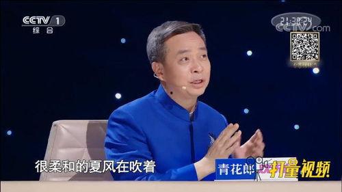 康震视频,深入解读历史文化，探寻智慧之光