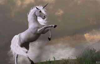 独角兽的视频,揭秘科技新贵崛起之路