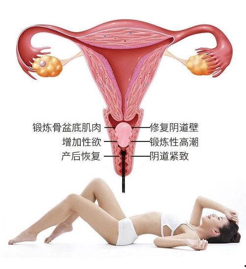 洗髓功免费教学视频,揭秘养生秘籍，轻松入门修炼之道