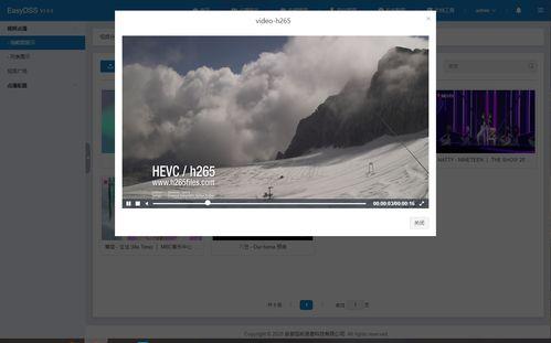 融合视频,跨越时空的视觉盛宴