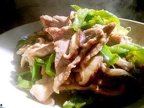 滑肉片的做法视频,美味佳肴在家轻松做