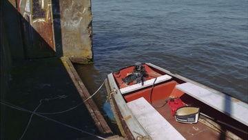 码头视频,视频捕捉繁忙港口瞬间