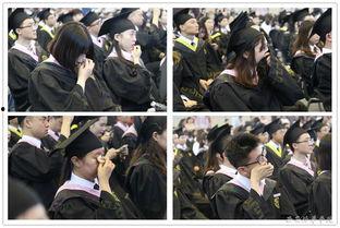 毕业感动视频,泪洒青春，感动永恒