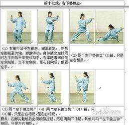 太极拳视频教程,入门到精通的实战指南