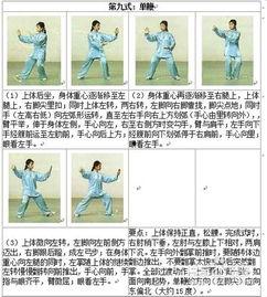 太极拳视频教程,入门到精通的实战指南