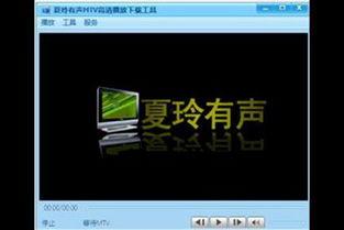 有声视频,探寻有声视频的魅力之旅