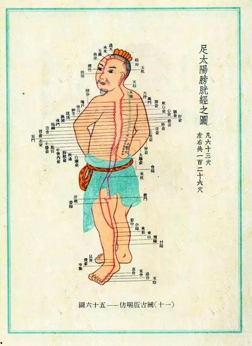 十二经络拍打视频,视频教程详解