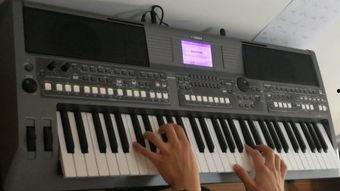 电子琴演奏视频,音符跳跃中的视觉盛宴