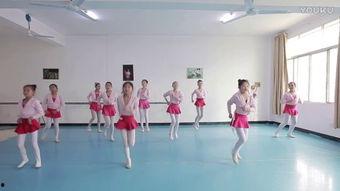 舞蹈小视频,捕捉舞蹈小视频的精彩瞬间