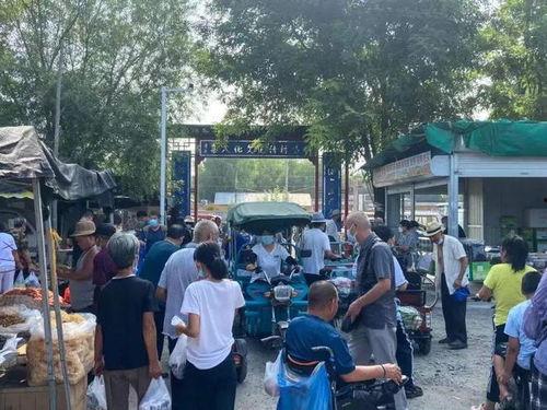 今日王瓜店大集开放吗,今日王瓜店大集开放情况一览