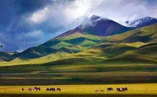 新疆视频素材,视频素材中的多元文化风采