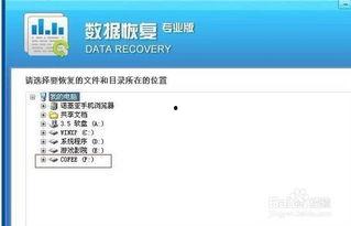 怎么恢复删除的视频,掌握高效恢复技巧