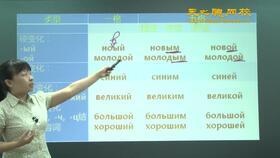 俄语教学视频,俄语教学视频精华概述