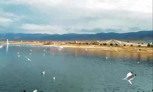 青海湖视频,高原明珠的壮丽画卷