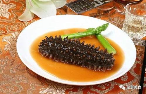 海参视频,海洋珍品背后的奥秘与价值