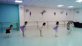 幼儿舞蹈教程视频,轻松入门，快乐成长
