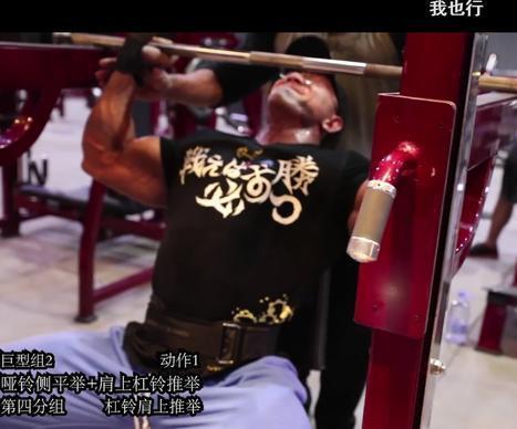 鹿晨辉视频,揭秘生活点滴中的智慧与感悟