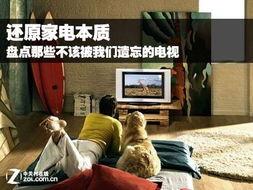 插洞洞视频,揭秘创意无限的生活趣味