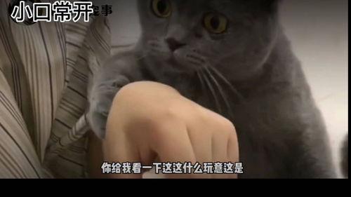 搞笑段视频,让你笑到肚子疼