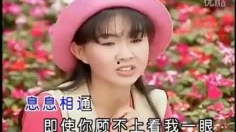 黑鸭子视频,探寻神秘黑鸭子家族的传奇故事