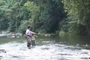 溪钓视频,捕捉自然之美，体验宁静生活