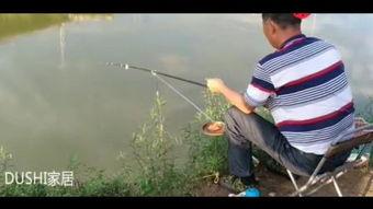 溪钓视频,捕捉自然之美，体验宁静生活