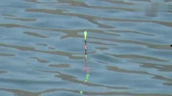 溪钓视频,捕捉自然之美，体验宁静生活