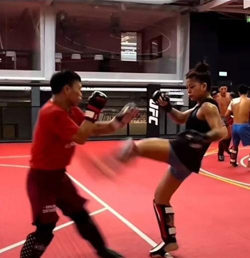格斗训练视频,跟随格斗训练视频解锁搏击奥秘