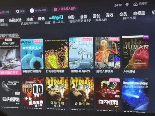 视频内容,探寻科技与生活的奇妙融合