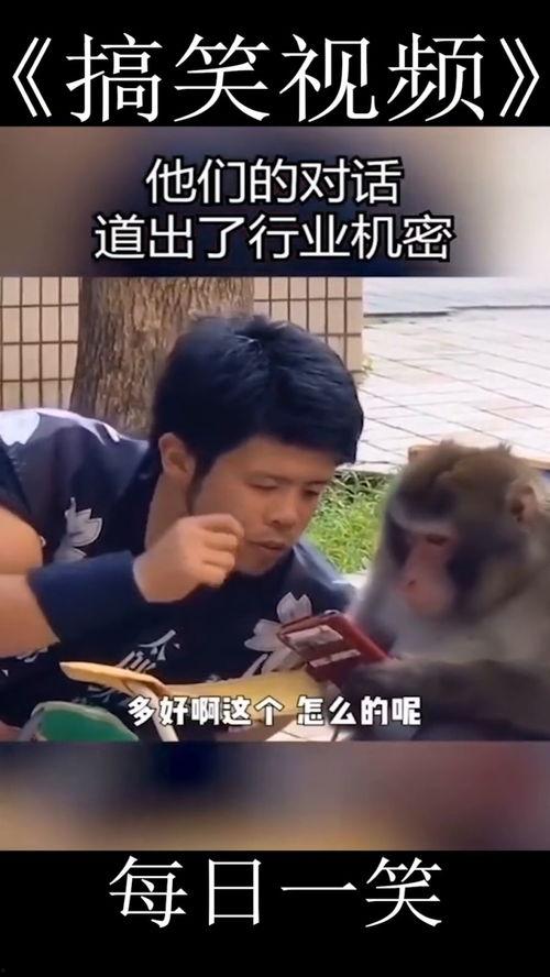 搞笑对话视频,笑料百出！搞笑对话视频集锦