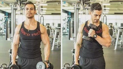 手臂锻炼视频,跟随专业视频高效锻炼