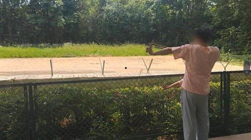 弹弓射击视频,视频解析与实战攻略