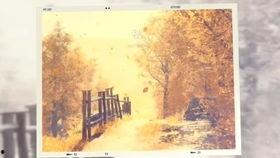 四季变化视频,跟随视频领略自然变换之美