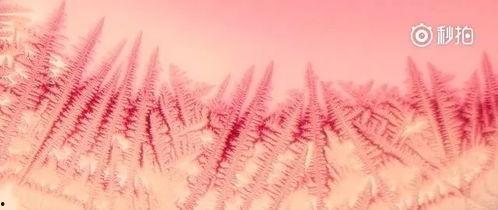 四季变化视频,跟随视频领略自然变换之美