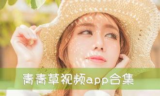 青青草在视频,自然之美与生命力的赞歌