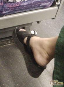 草泥玛视频,网络热梗背后的文化现象解析