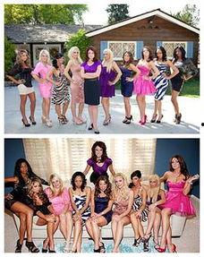 草泥玛视频,网络热梗背后的文化现象解析