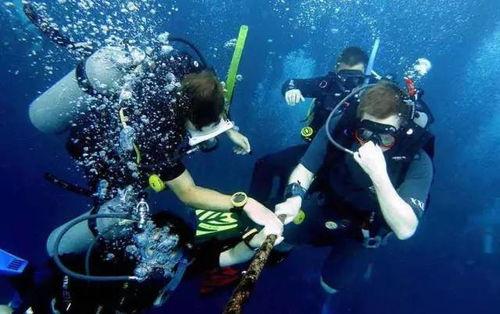 潜水视频教学,跟随视频教程探索水下世界