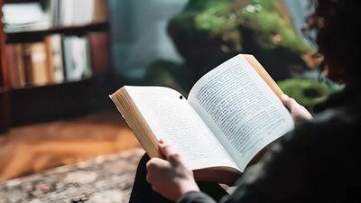 读书的视频,深度剖析经典著作，带你领略读书之美